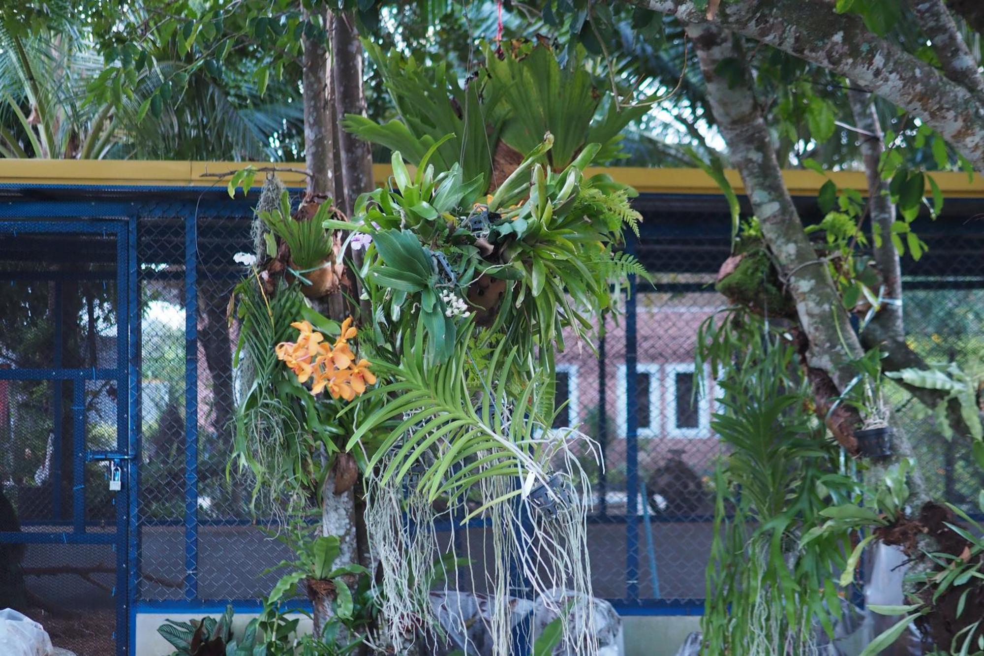 Villa Omloft Phuket Eksteriør billede